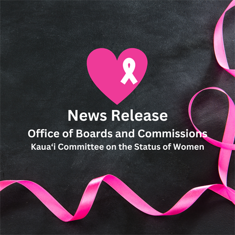 Kaua‘i Committee on the Status of Women News Release.png