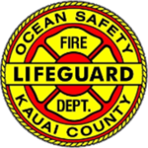 Lifeguard Logo