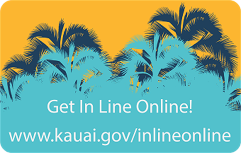 Blue palm trees with get in line at kauai.gov web address